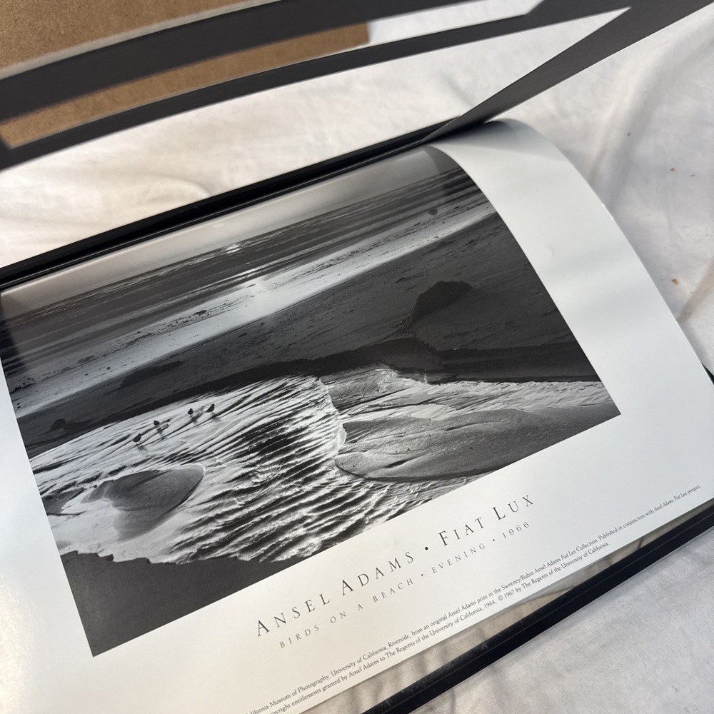 Ansel Adams Birds on a Beach Evening Framed Framed 1966 Photo 12x14 Wall Art VTG - Picture 13 of 15